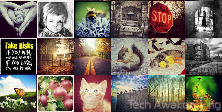 How to create a collage of Instagram photos Online for Free